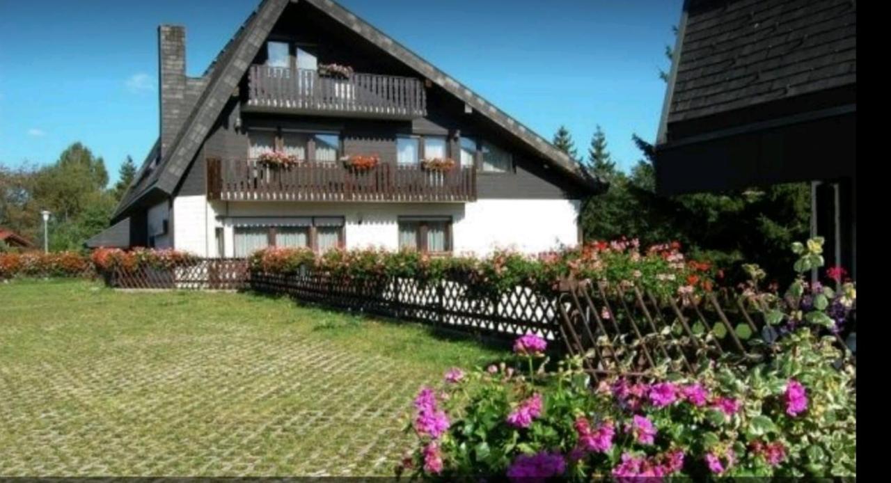 Ferienhaus-Schoenwald Im Herzen Des Schwarzwaldes 1Zimmer Wohnung Mit Terrasse App17 المظهر الخارجي الصورة