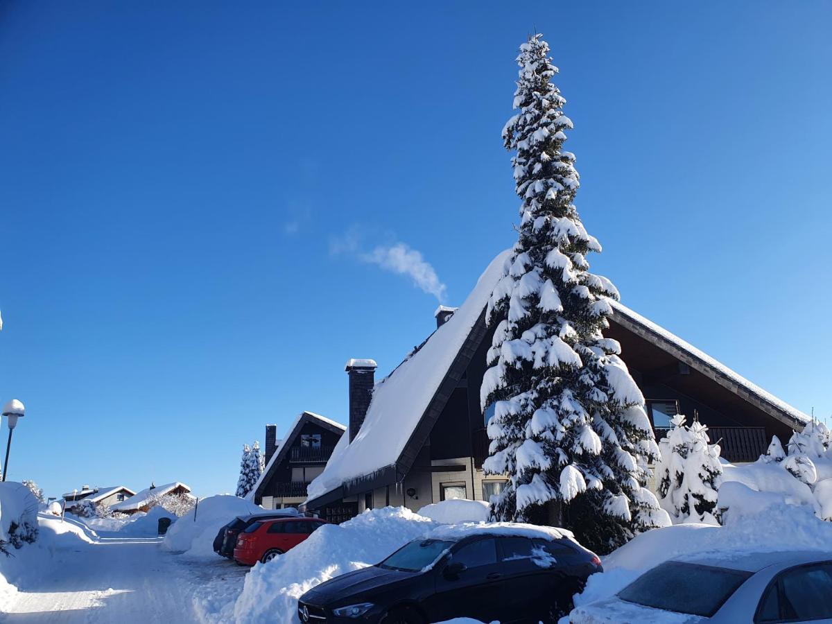 Ferienhaus-Schoenwald Im Herzen Des Schwarzwaldes 1Zimmer Wohnung Mit Terrasse App17 المظهر الخارجي الصورة