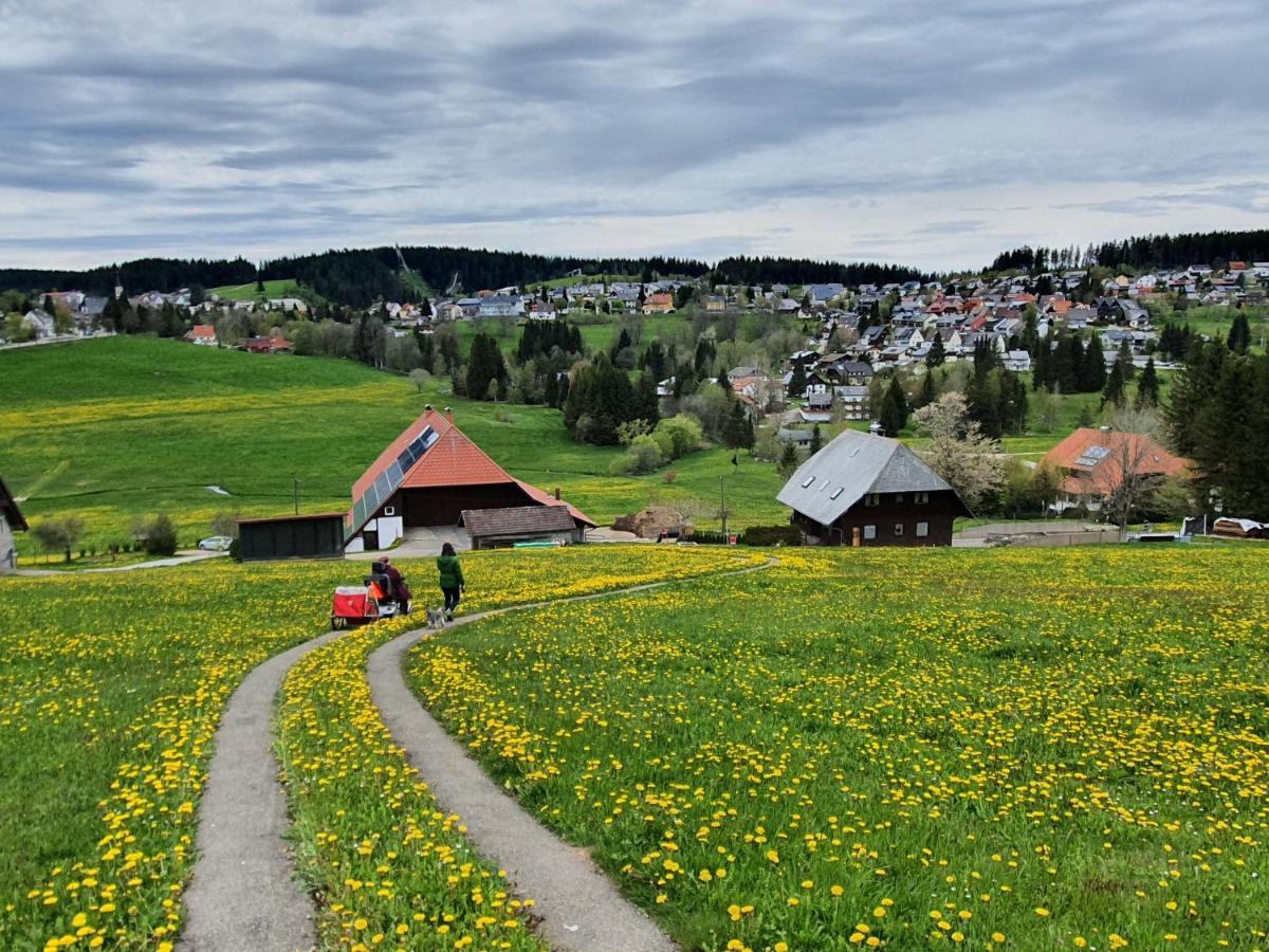 Ferienhaus-Schoenwald Im Herzen Des Schwarzwaldes 1Zimmer Wohnung Mit Terrasse App17 المظهر الخارجي الصورة