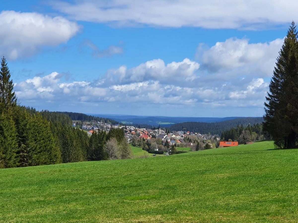 Ferienhaus-Schoenwald Im Herzen Des Schwarzwaldes 1Zimmer Wohnung Mit Terrasse App17 المظهر الخارجي الصورة